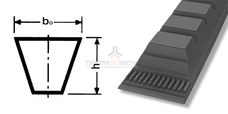 ремень xpa 1257