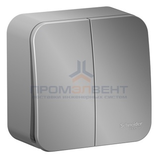 Выключатель 2-клавишный (cх.5) Blanca Schneider Electric 10А 250В алюминий