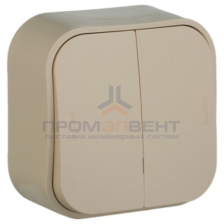 Переключатель двухклавишный на два направления слоновая кость